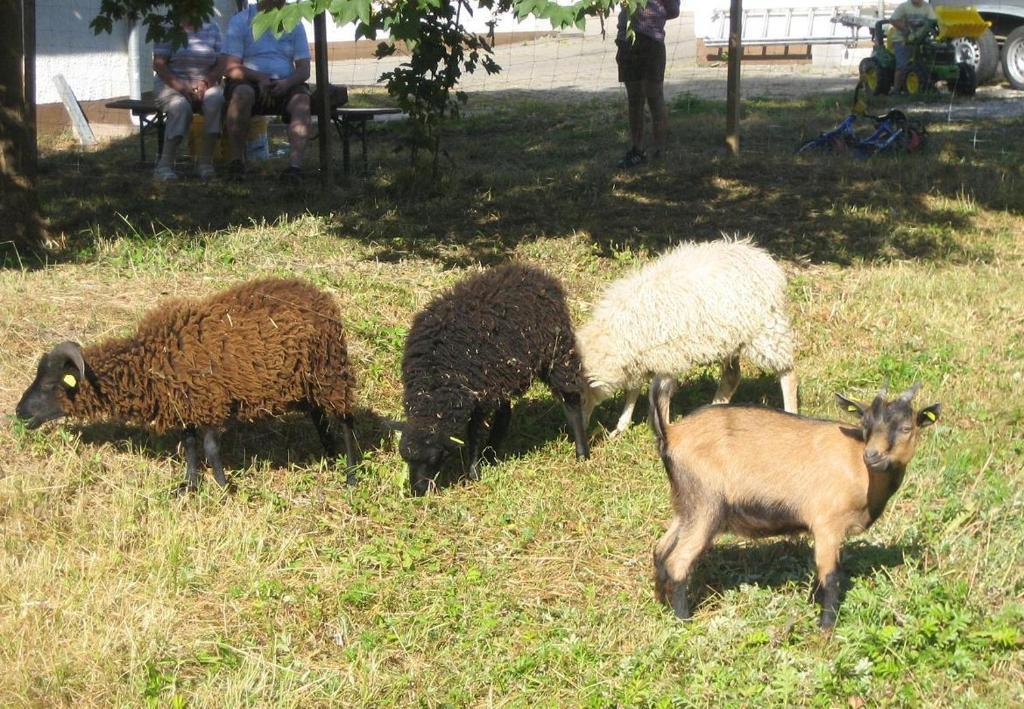 Gasthof Zur Krone Denkendorf  Esterno foto